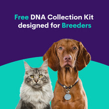 Ladda upp bild till gallerivisning, GRATIS Breeders DNA Collection Kit (pack of 6)
