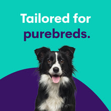 Ladda upp bild till gallerivisning, Purebred Dog Full Breed Profile
