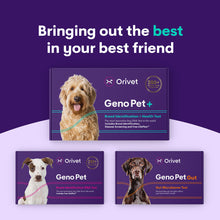 Ladda upp bild till gallerivisning, Geno Pet +  (Breed + Health Kit)

