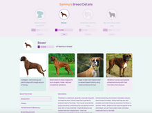 Ladda upp bild till gallerivisning, Geno Pet Dog Breed Identification DNA test
